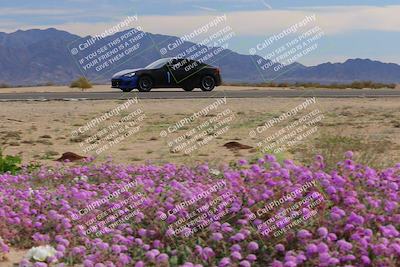 media/Jan-08-2023-SCCA SD (Sun) [[8f6a5b9391]]/Advanced Group/Session 2 (Short Straight)/